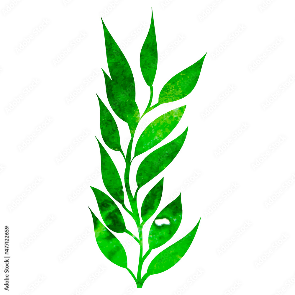 plant green watercolor silhouette isolated plant green watercolor silhouette isolated