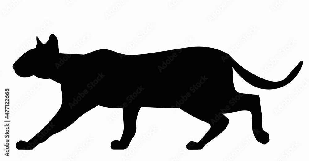 Fototapeta premium silhouette of a cat black isolated