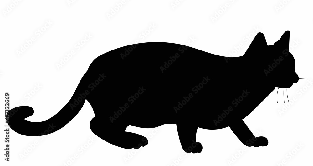 silhouette of a cat black isolated, vector