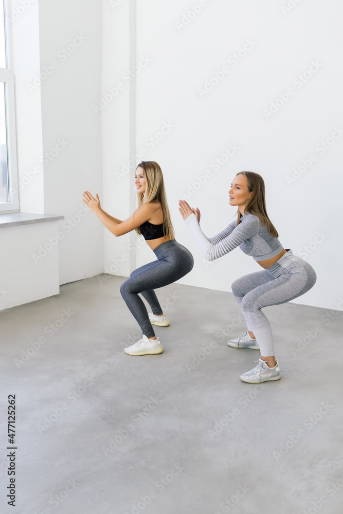 Two fit women doing squats at home, Female workout sport and fitness.