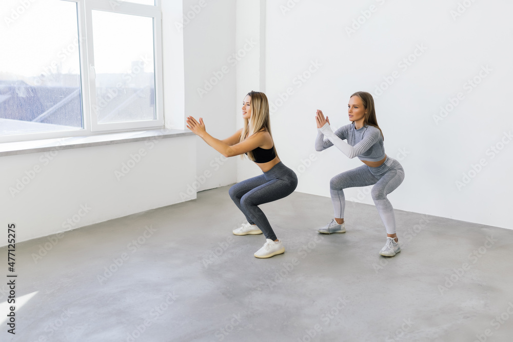 Two fit women doing squats at home, Female workout sport and fitness. Two fit women doing squats at home, Female workout sport and fitness.