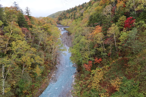 A view of the nature in autumn in Biei in Hokkaido in Japan 日本の北海道美瑛の秋の自然の風景