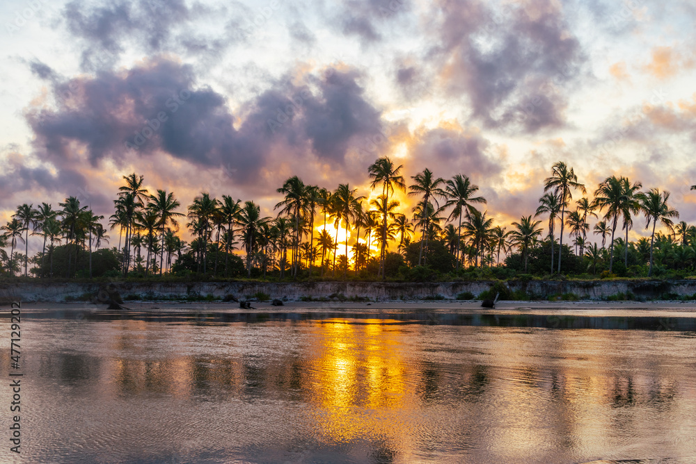 Sunset behind palm trees and river in Brazil