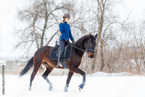 Young woman riding horse in winter park on the snow. © skumer