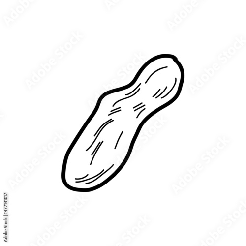 Stone or Pebble. Vector illustration in the style of a doodle