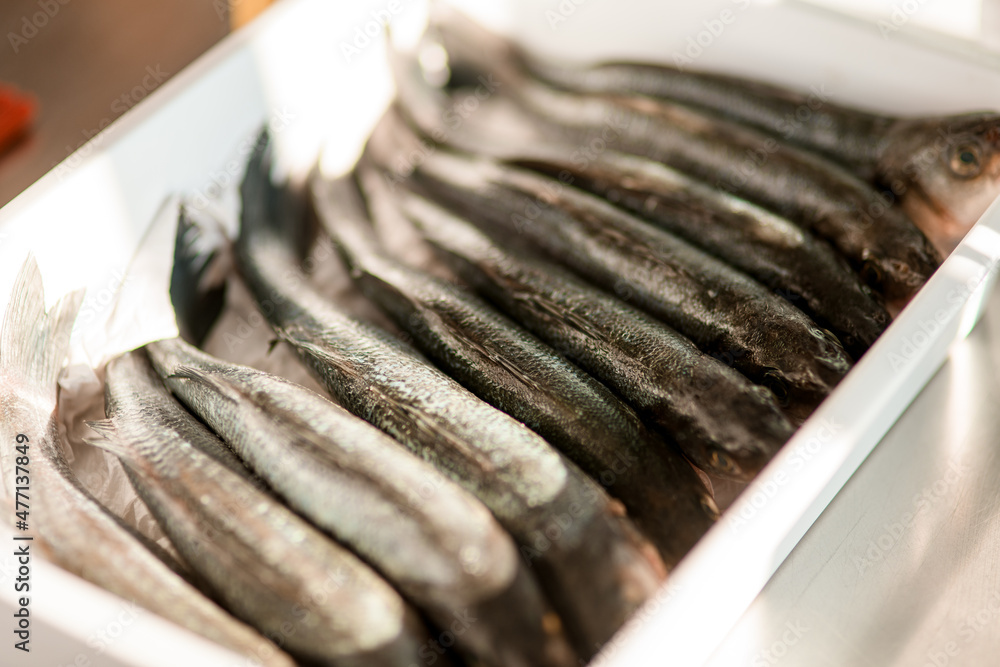 selective focus on raw fish lying in a row in a white tray selective focus on raw fish lying in a row in a white tray
