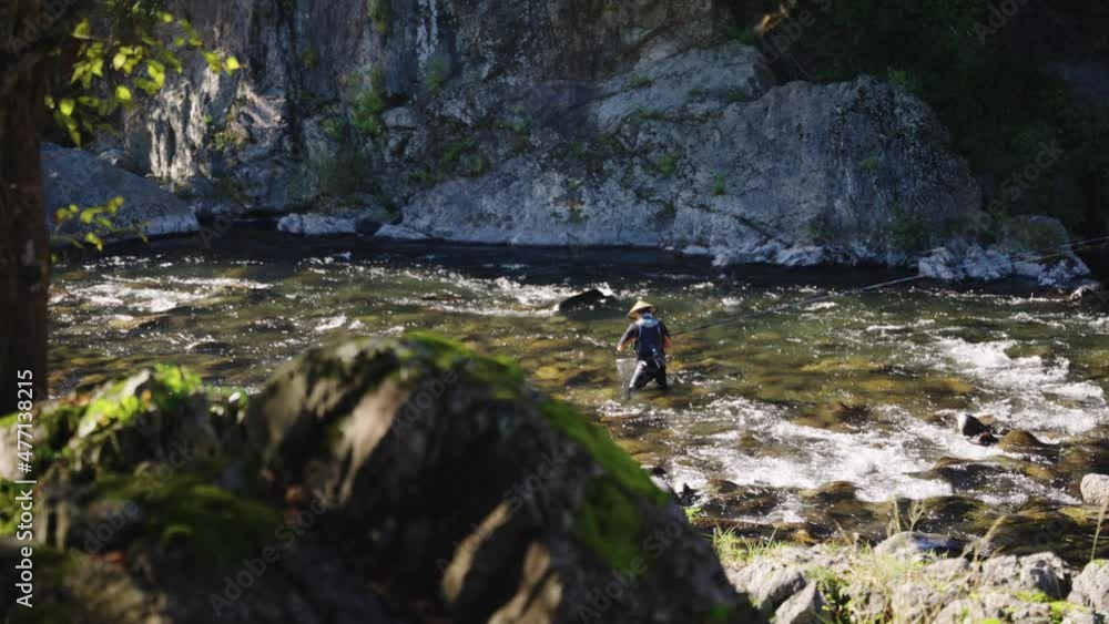 Moss on Rocks and Ayu Fisherman in Yoshida River, Gujo Hachiman, in Gifu Japan Moss on Rocks and Ayu Fisherman in Yoshida River, Gujo Hachiman, in Gifu Japan