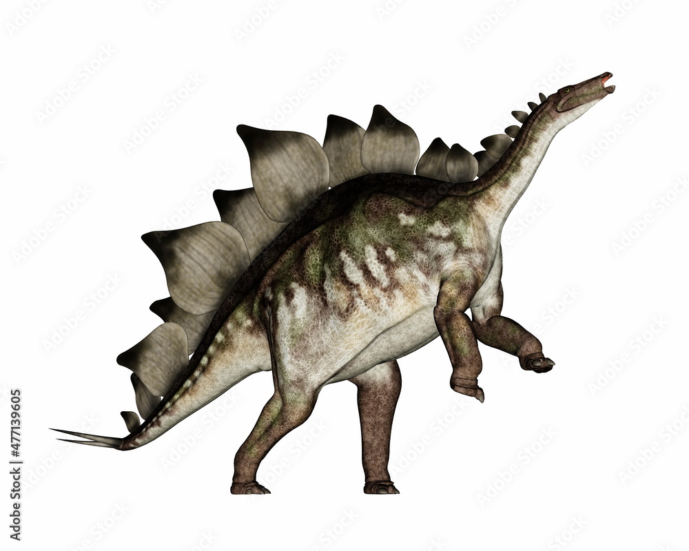 Naklejka premium Stegosaurus dinosaur rearing upand roaring - 3D render