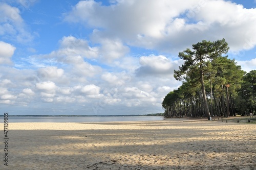 beautiful view on the lake of Cazaux in Gironde - France photo