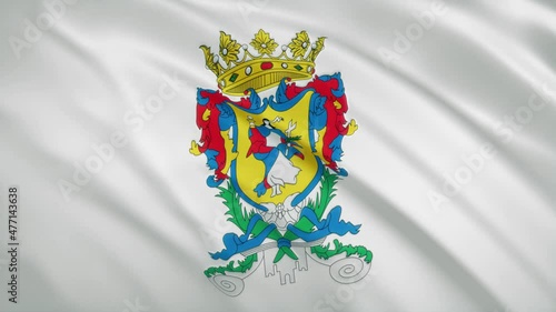 Guanajuato - Mexican State Waving Flag