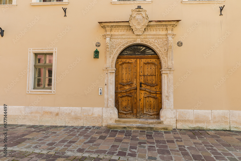 Fototapeta premium Old door with an interesting ornament, close-up.