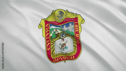 Mexico - Mexican State Waving Flag