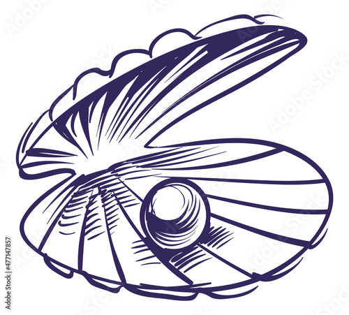 Clam shell with pearl inside in hand drawn style