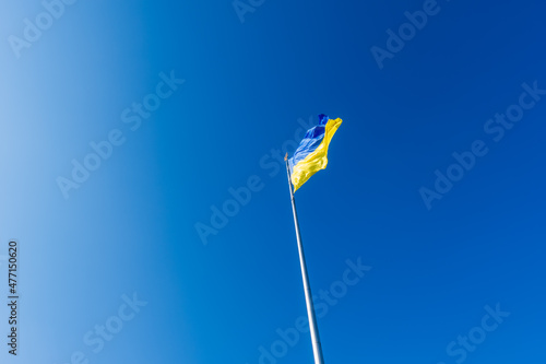Ukraine Flag