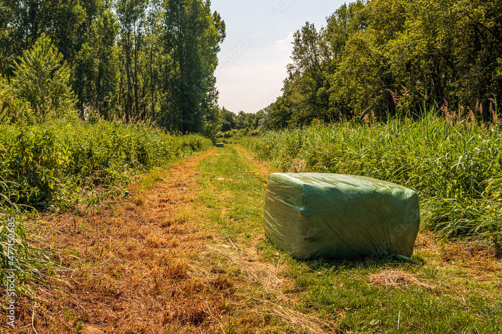 Dutch nature reserve at the end of the spring season. In the foreground is a bale of harvested grass wrapped in green plastic agricultural film.