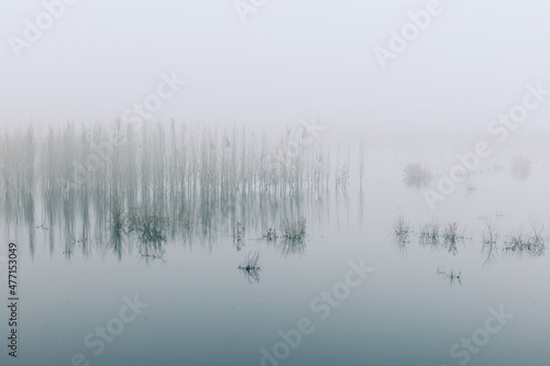 China Beijing Summer Palace misty lake and tree view