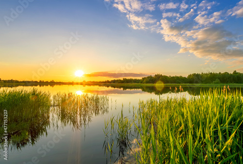 Amazing view at scenic landscape on a beautiful lake and colorful sunset with reflection on water surface among green reeds and glow on a background, spring season landscape