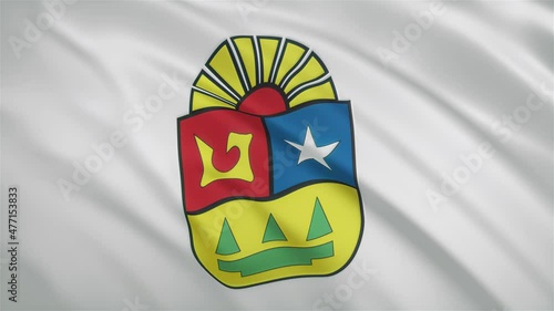Quintana Roo - Mexican State Waving Flag