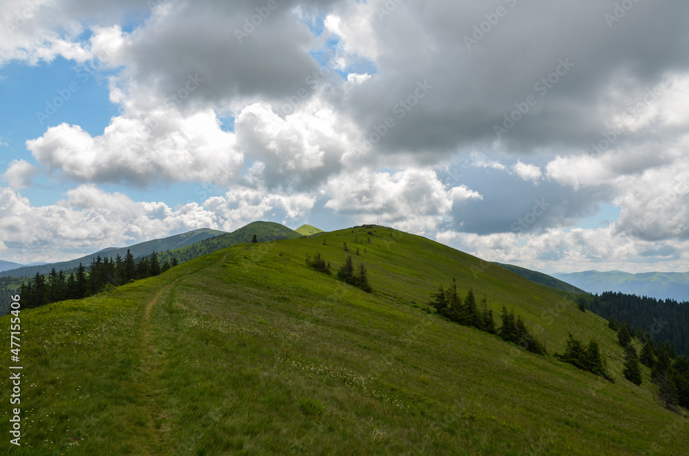 Mountain ridge with green grassy slopes and tops on the distance under cloudy sky. Carpathians, Ukraine. Travel and tourism