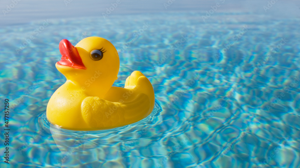 Rubber duck floating on calm water surface Rubber duck floating on calm water surface