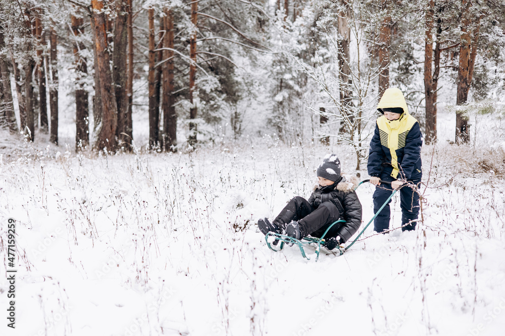Happy children sledding down in winter snowy forest. Teenage boys having fun riding sledge and playing on frosty day. Wintertime activity outdoors. Two joyful friends in warm clothes walking in nature Happy children sledding down in winter snowy forest. Teenage boys having fun riding sledge and playing on frosty day. Wintertime activity outdoors. Two joyful friends in warm clothes walking in nature