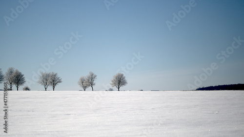 landscape with trees