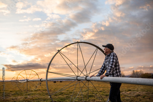 Senior man by farm sprinkler system photo