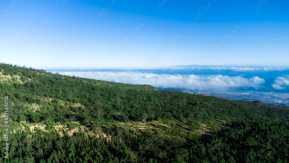 Canary islands, Tenerife, mountain, forest, trip Canary islands, Tenerife, mountain, forest, trip