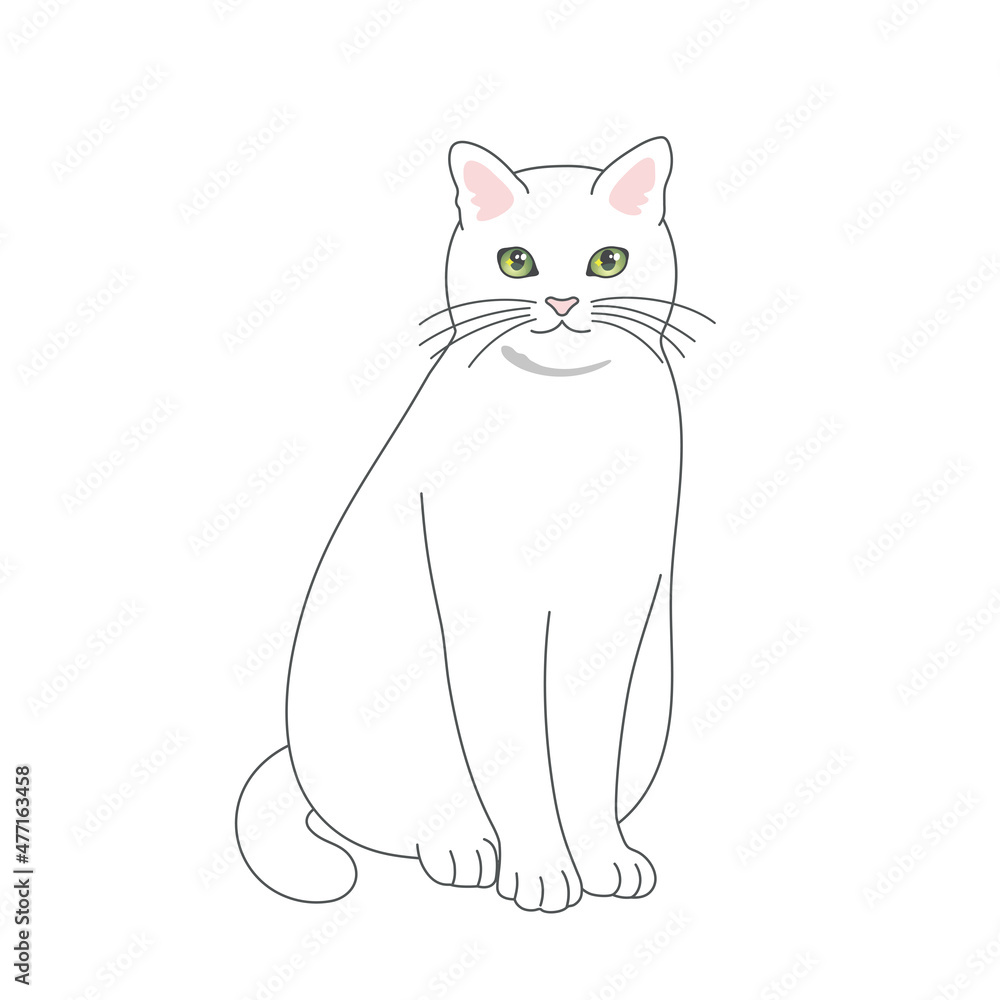 座る白猫のリアルタッチなイラスト Stock 벡터 Adobe Stock