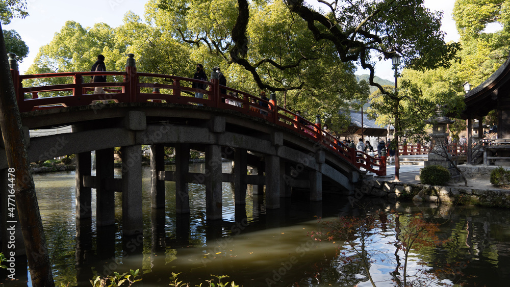 Obraz premium bridge in the park