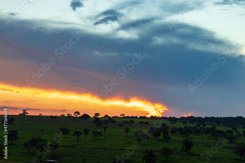 Céu alaranjado sobre a vegetação ao anoitecer na zona rural em Minas Gerais, Brasil.