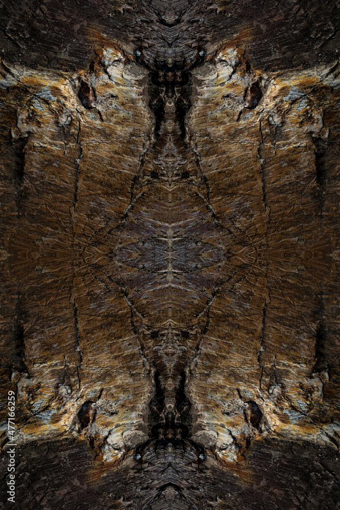 Alien Heads Sculpted in a Granite Rock, Symmetrical Kaleidoscope Mirror, Abstract Background.