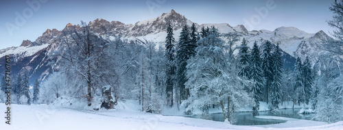 La vallée de Chamonix sous la neige avec en arrière plan le Massif du Mont-Blanc en France © rochagneux