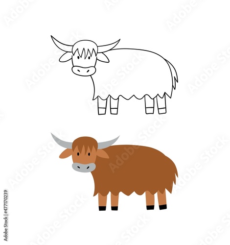 Hand drawn yak. Vector illustration.