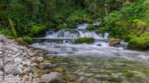 Mountain stream in the Tatra National Park