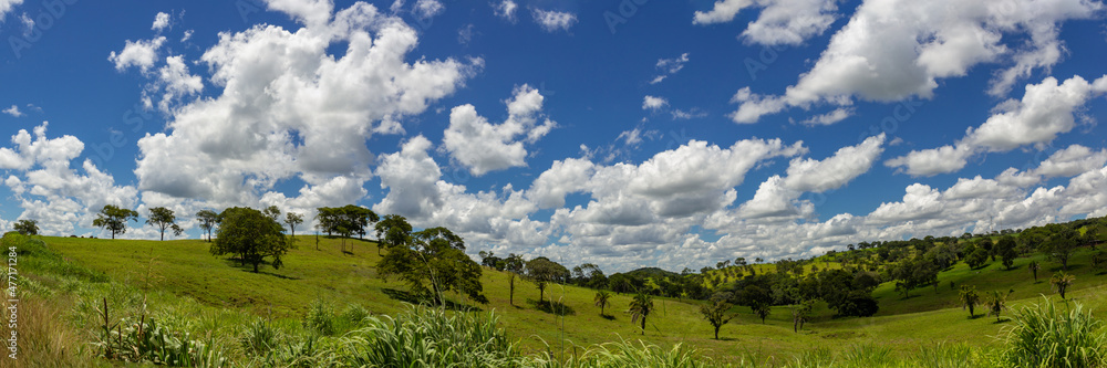 Foto panorâmica da paisagem à beira da rodovia BR-153, entre Brasília e Goiânia no Brasil.