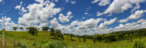 Foto panorâmica da paisagem à beira da rodovia BR-153, entre Brasília e Goiânia no Brasil. © Angela