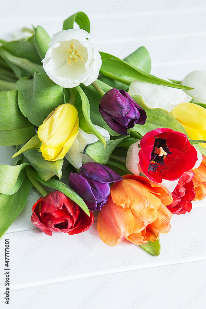 Obraz premium Holiday easter spring colorful tulips.