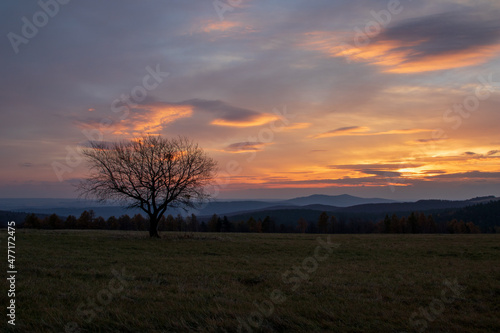 sunrise over the field © Sławomir Bodnar