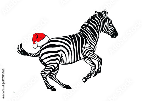 Vector zebra in red hat  jumping, graphical illustration, savanna African animal © Vita
