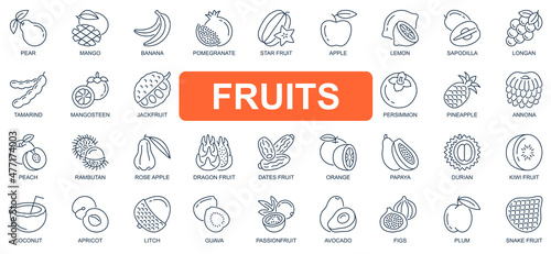 Fruits concept simple line icons set. Pack outline pictograms of mango, banana, pomegranate, apple, lemon, mangosteen, jackfruit, pineapple and other. Vector symbols for website and mobile app design