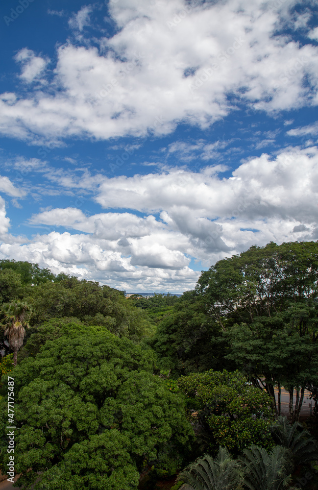 Traditionally heavy clouds over the rainforest canopy .