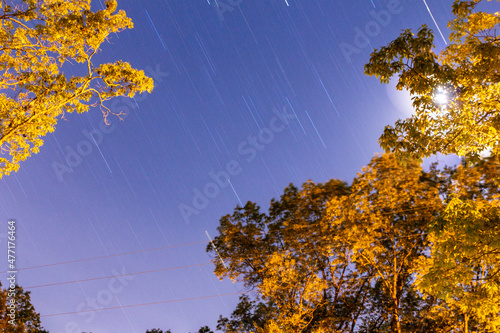 autumn landscape with trees