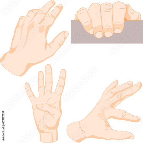 Grupo de diferentes manos de hombre blanco caucásico en distintas posiciones y formas N3