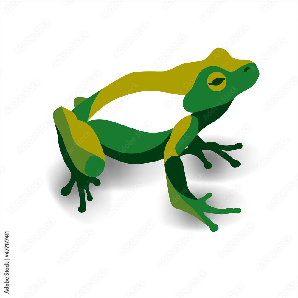 Naklejka premium Frog vector image, colorful frog, tree frog logo, symbol