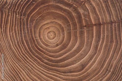 Concentric brown wooden background with annual rings