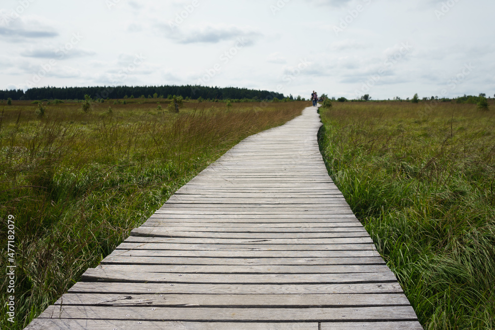 Wooden platform in nature