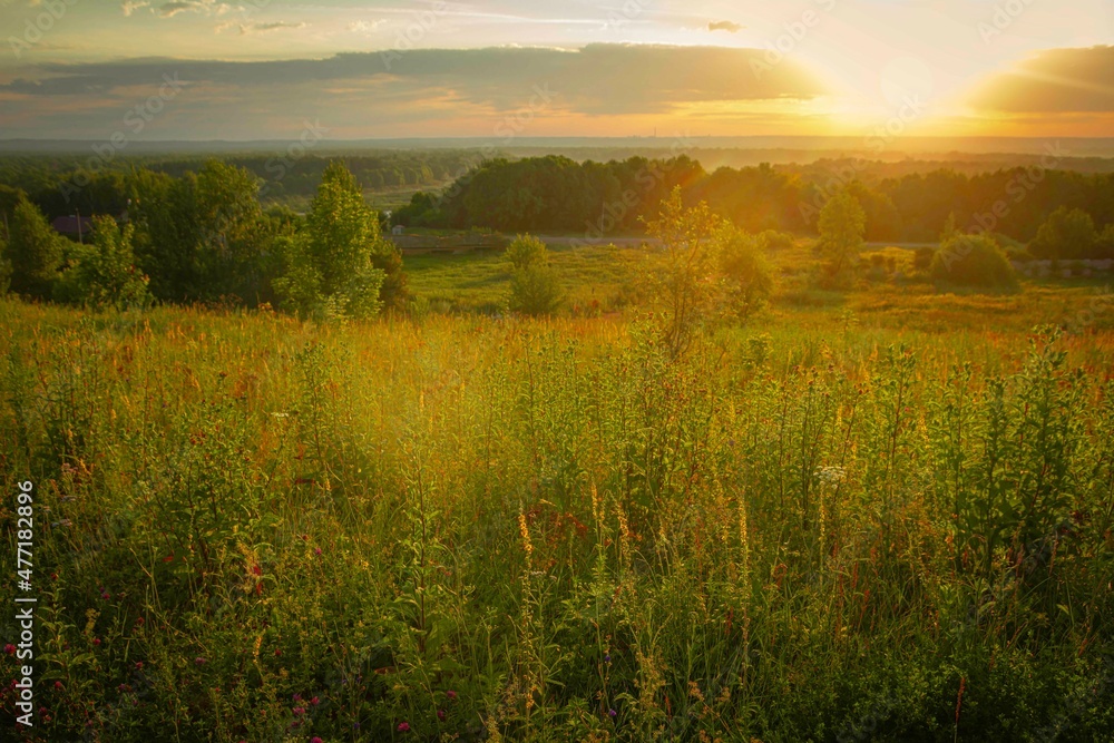 Obraz premium Sunrise over a hill with wild grasses