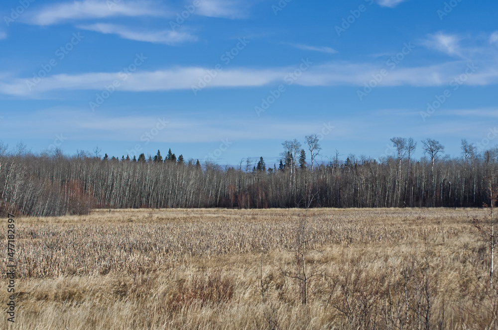 Elk Island National Park on a Cool Autumn Day Elk Island National Park on a Cool Autumn Day