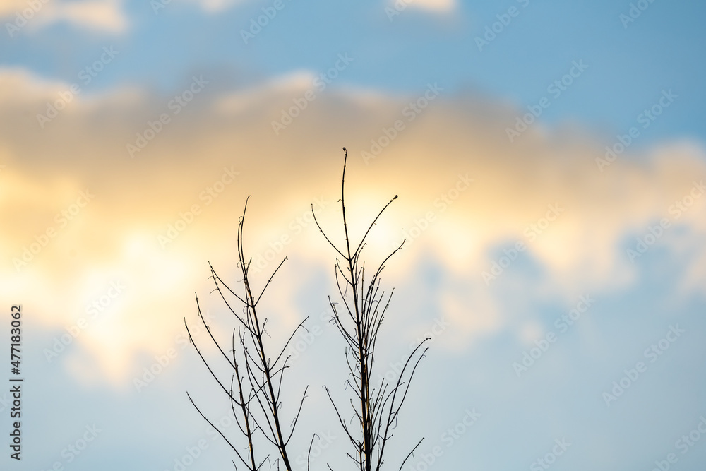 Obraz premium SUNSET